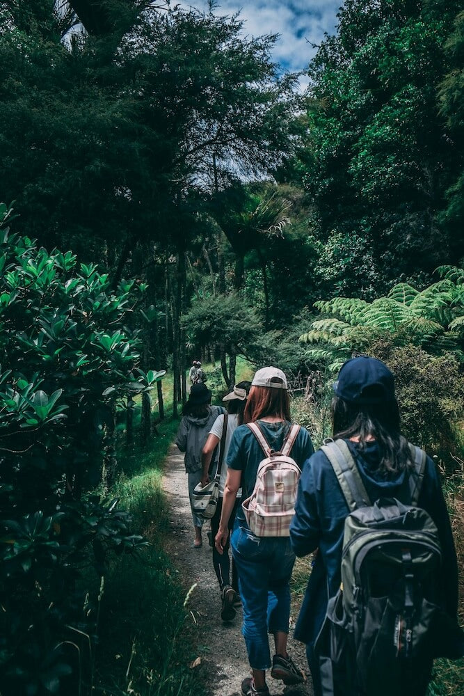 Top 11 Places To Go Hiking In Singapore For A Nature Escape