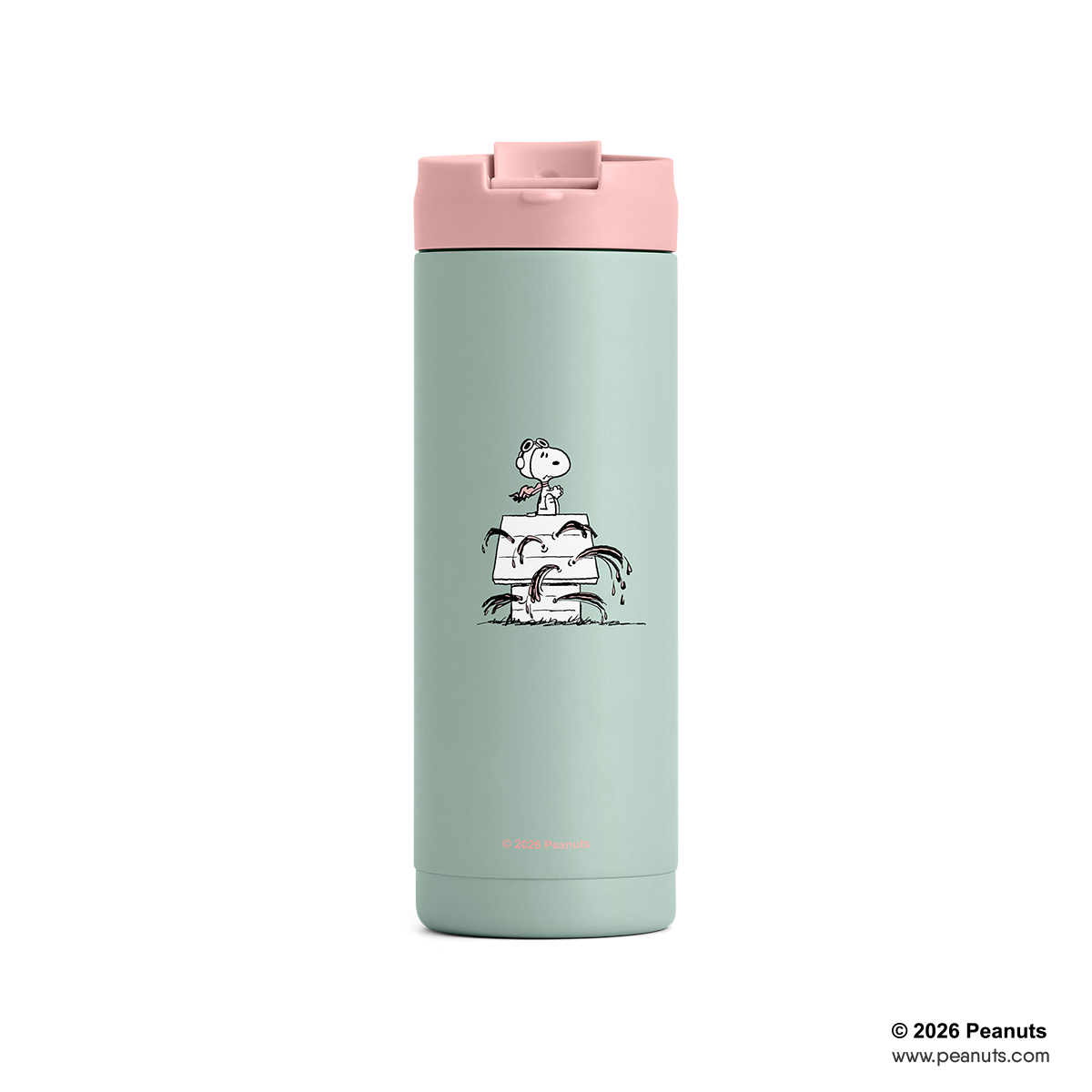 Peanuts Playbook City Flask